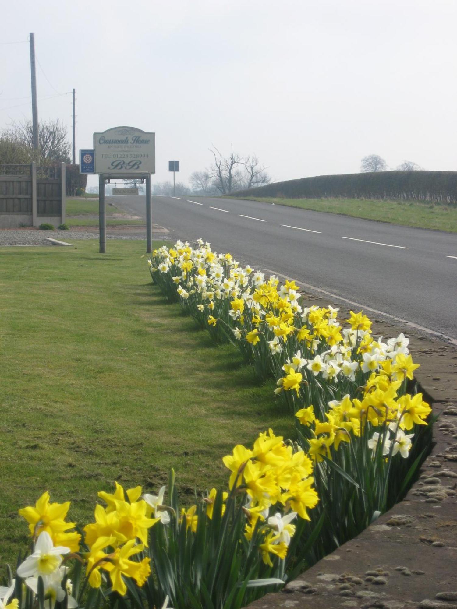 Crossroads House Hotel Carlisle  Luaran gambar